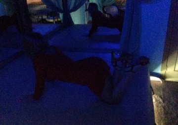 Мария: индивидуалка проститутка Красноярск